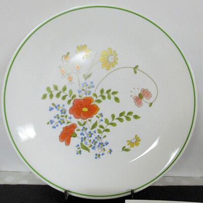 Corelle 10 1/4" Dinner Plates, Set of 8
