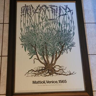Lot 221: 1971 New York Botanical Garden Print Series - Mattioli, Venice 1565