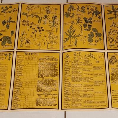 Lot 258: Vintage Fold Out Botanical Poster