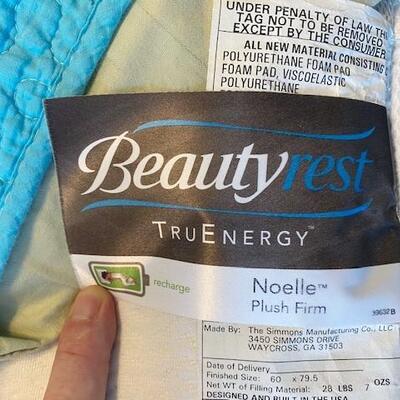 LOT#41B1: Queen Size Canopy Style Bed Set