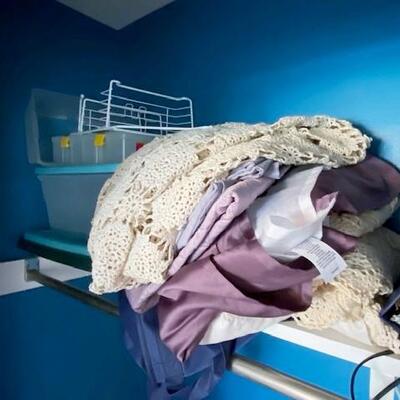 LOT#43B1: Closet Lot #1