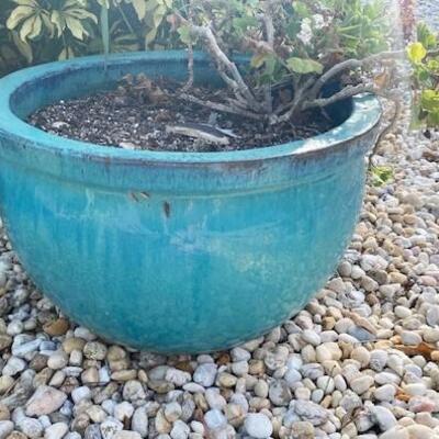 LOT#130FY: Glazed Planter #1