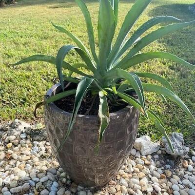 LOT#132FY: Glazed Planter #3