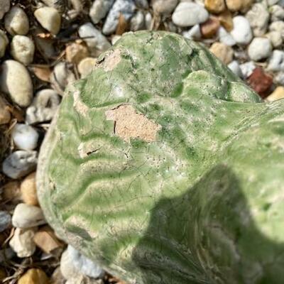 LOT#133FY: Glazed Garden Buddha