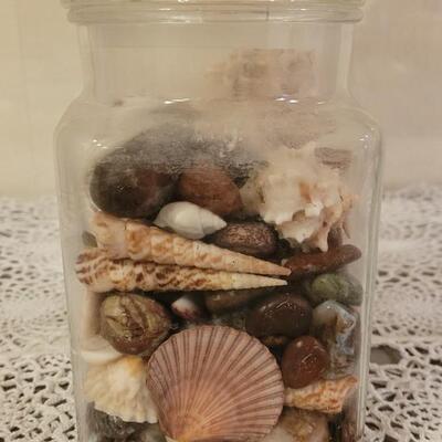 Lot 183: Large Jar of Shells, Medium Jar of Mixed Rocks & Shells and an Abalone Shell