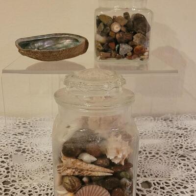 Lot 183: Large Jar of Shells, Medium Jar of Mixed Rocks & Shells and an Abalone Shell