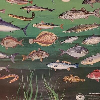 Lot 286: U.S. Department of Commerce- Marine Fishes of the North Atlantic 48" Ã— 30"