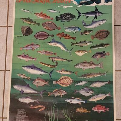 Lot 286: U.S. Department of Commerce- Marine Fishes of the North Atlantic 48" Ã— 30"