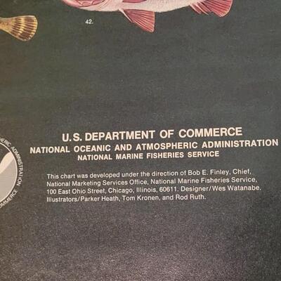 Lot 286: U.S. Department of Commerce- Marine Fishes of the North Atlantic 48" Ã— 30"