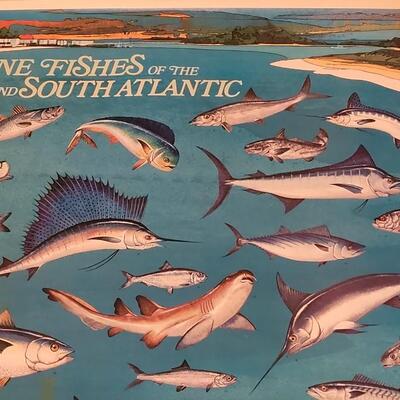 Lot 287: U.S. Department of Commerce - Marine Fishes of the Gulf and South Atlantic 48" Ã— 30"