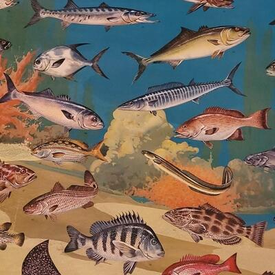 Lot 287: U.S. Department of Commerce - Marine Fishes of the Gulf and South Atlantic 48" Ã— 30"