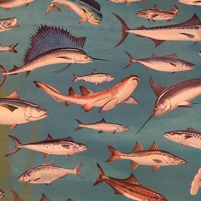 Lot 287: U.S. Department of Commerce - Marine Fishes of the Gulf and South Atlantic 48" Ã— 30"