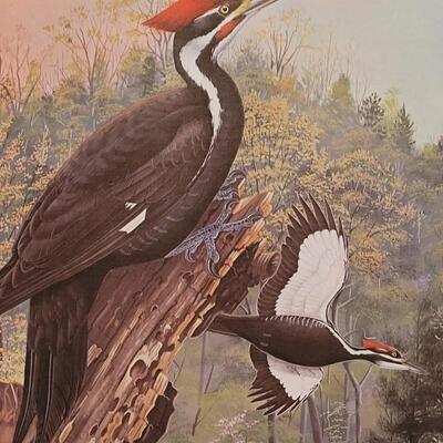 Lot 289: "Spring Morning in Tunica Hills, Pileated Woodpeckers and Magnolia" by MURRELL BUTLER Limited Edition Signed and...