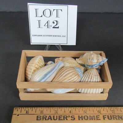 Lot of Ceramic Decorative Shells
