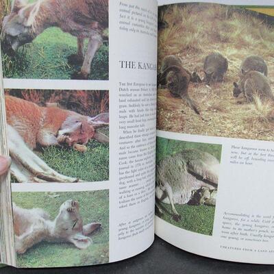 Vintage Walt Disney's 1965 Worlds of Nature Book, Hard Cover