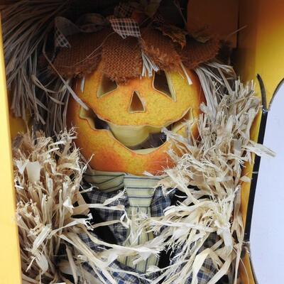 Multicolored Fiber Optic 48" Scarecrow - New, never used.