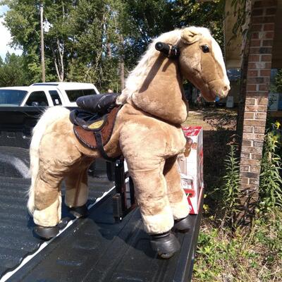 Giddy up pony