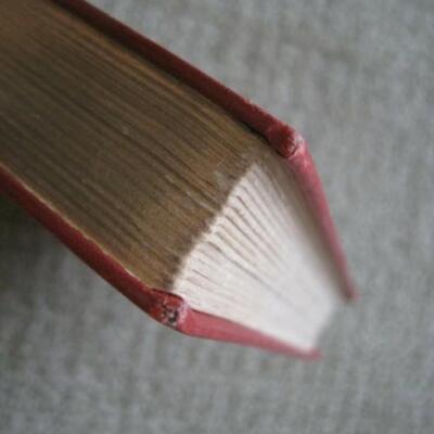 Antique Pinafore Palace: A Book of Rhymes 1910