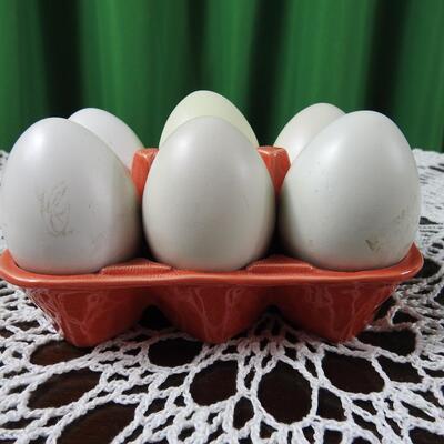 Eggs anyone