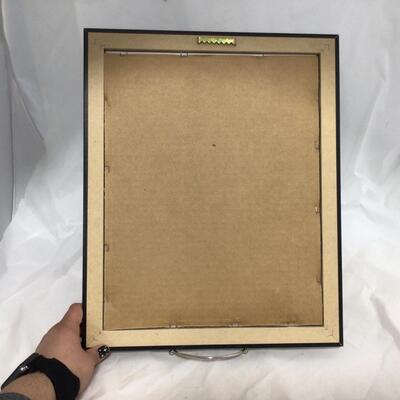 (12) PACKERS | Brett Farve Framed Collector Piece