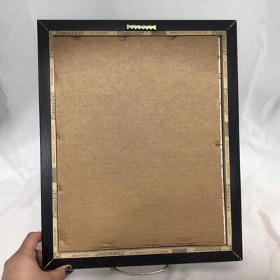 (13) PACKERS | Bart Starr Framed Collector Piece