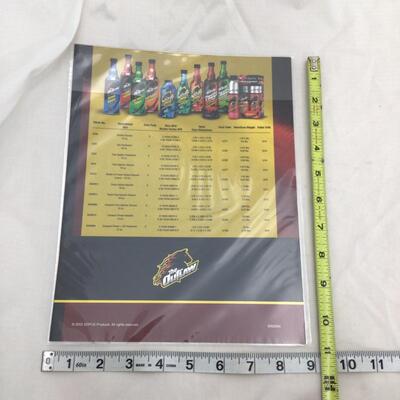 (44) NASCAR | 70+ Dale Earnhardt Jr. Driver Cards