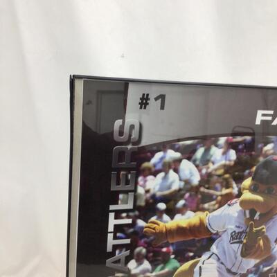 (75) BASEBALL | Mixed Collection of Brewers and Timber Rattlers Items
