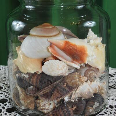 Large candle holder with shell base