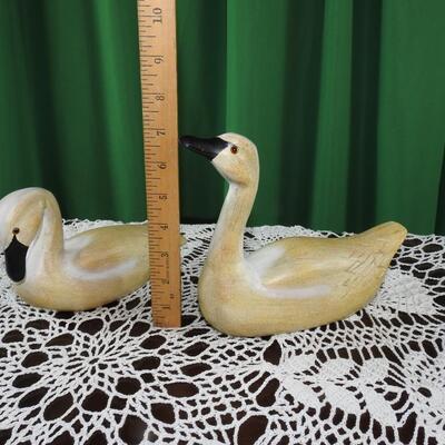 Set of Swans