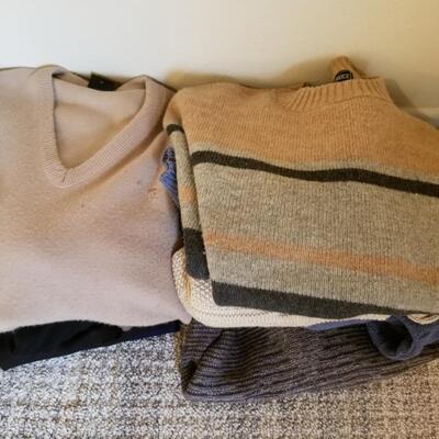 Sweaters, t shirts, 1 short 1 pant