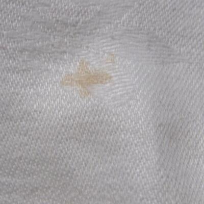 2 Very Large White Vintage Tablecloths, 1 Square Tablecloth