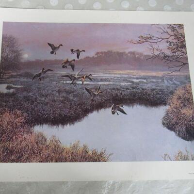 Duck Print, Remington Wildlife Art Collection, USA