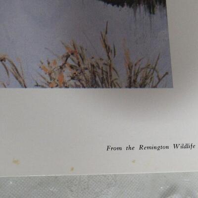Duck Print, Remington Wildlife Art Collection, USA