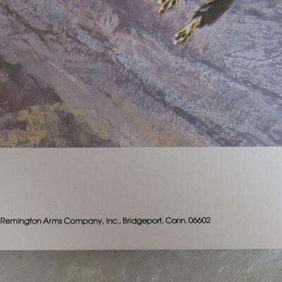 Bald Eagle Litho, Remington Arms Co, 1975, USA