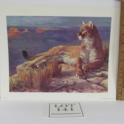 Mountian Lion Print, Remington Wildlife Art Collection, USA