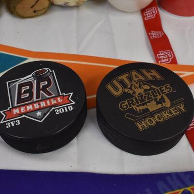 Jazz Duffel Bag, Jazz Bear Stuffed Animal, Bees and Utah Cups, Real SLC Flag