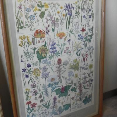 LOT 131 FRAMED PRINT "CALIFORNIA NATIVE PLANT SOCIETY"