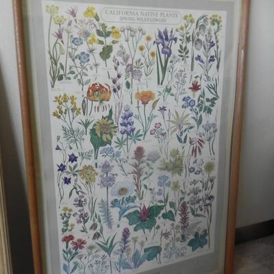 LOT 131 FRAMED PRINT "CALIFORNIA NATIVE PLANT SOCIETY"