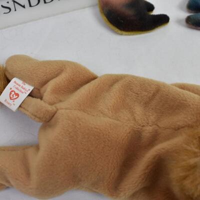 10 Ty Beanie Babies: Claude, "Class of '98 Wise", Iggy, Jabber,  1 w/no tag