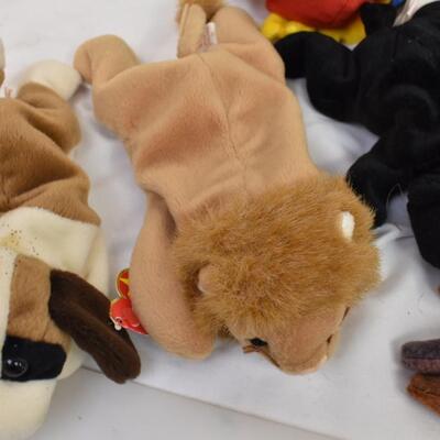 10 Ty Beanie Babies: Claude, "Class of '98 Wise", Iggy, Jabber,  1 w/no tag