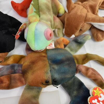 10 Ty Beanie Babies: Claude, "Class of '98 Wise", Iggy, Jabber,  1 w/no tag