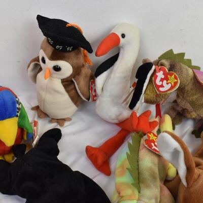 10 Ty Beanie Babies: Claude, "Class of '98 Wise", Iggy, Jabber,  1 w/no tag