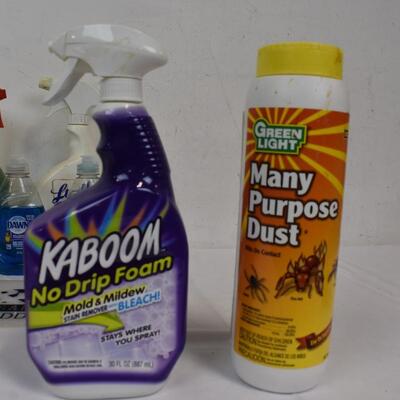 10 pc Cleaning Supplies, Bleach Cleaners, Dish Soap, Powder Cleansers