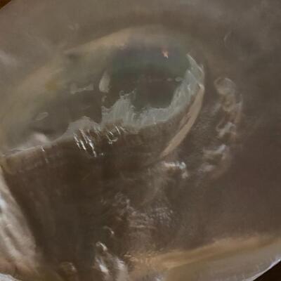 large shell dish approx 8.5"x7" and widest and longest