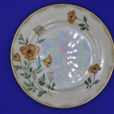 yellow poppy plate