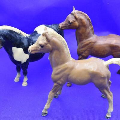 Black & White horse, light brown, dark brown