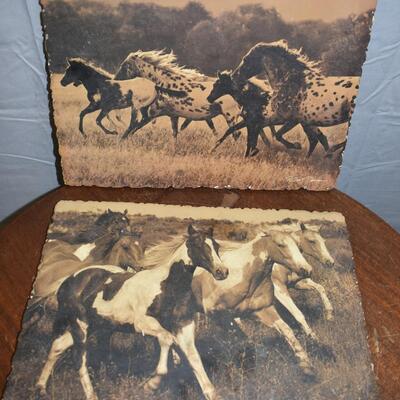 2 pc heavy horse pics