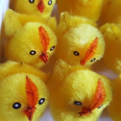 Box of Fuzzy Chicks