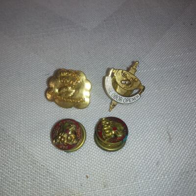 Loyal Order of Moose Club Member Pins