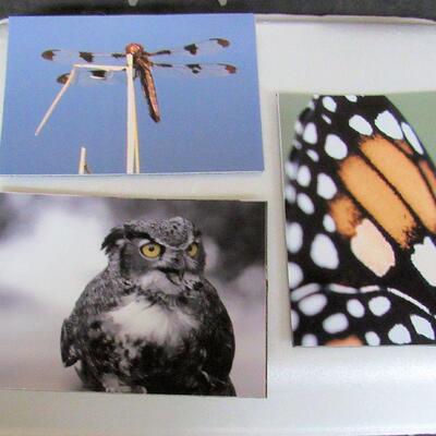 3 Pretty Small Photo Magnets by Fond du Lac Artist Aileen Andrews